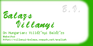 balazs villanyi business card